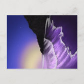 Starkes Meer und Sternenhimmel Postkarte (Vorderseite)