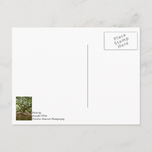 Starkes und mutiges Denken Sie an Ihre Postkarte (Rückseite)