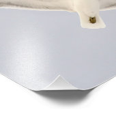 Starkgull Fotodruck (Ecke)