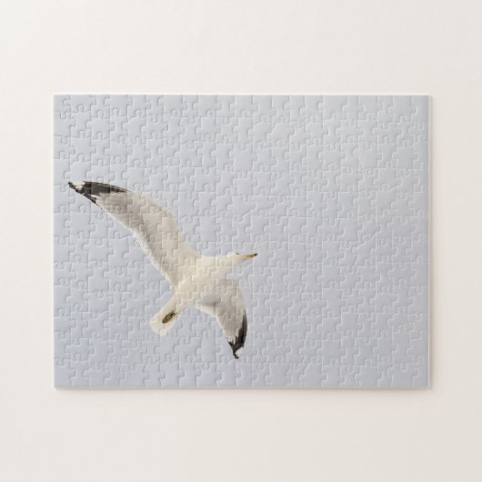Starkgull Puzzle (Horizontal)