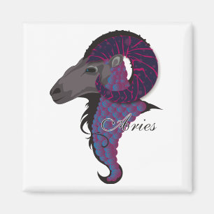 Starlight Aries-Magnete Magnet
