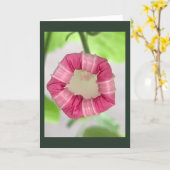 Starlight Mint Morning Glory Blank Karte (Gelbe Blume)