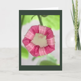 Starlight Mint Morning Glory Blank Karte