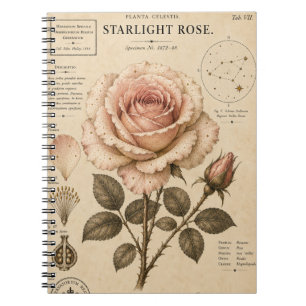 Starlight Rose Victorian Botanical Museum Druck Notizblock