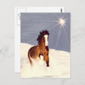 Starlight Run Postkarte (Vorne/Hinten)