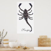 Starlight Scorpio Print Poster (Küche)