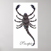 Starlight Scorpio Print Poster (Vorne)