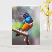 Starling Bird auf Baumgrenze Karte (Gelbe Blume)