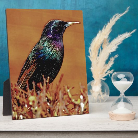 Starling Bird-Foto Fotoplatte (Seite)