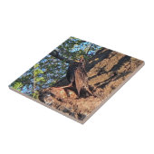 Starling Bird Keramik Tile Fliese (Seite)