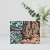 Starling Bird Postcard Postkarte (Stehend Vorderseite)