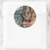 Starling Bird Stickers (Tasche)