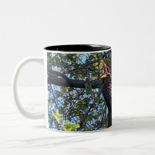 Starling Bird-Tasse Zweifarbige Tasse (Links)