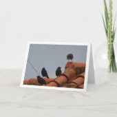 Starling Birds auf der Dachkarte Karte (Vorderseite)