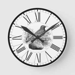 Starling Britische Vogelillustration Rund Uhr
