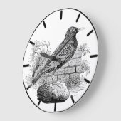 Starling Britischer Vogel Große Uhr (Winkel)