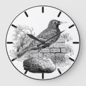 Starling Britischer Vogel Große Uhr (Vorderseite)