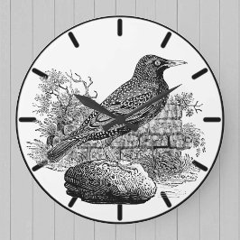 Starling British Bird Large Clock Große Wanduhr