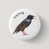 Starling Button (Vorderseite)