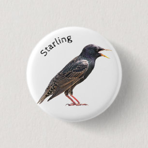 Starling Button