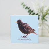 Starling  feiertagskarte (Stehend Vorderseite)