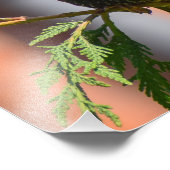 Starling Fotodruck (Ecke)