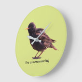 Starling  große wanduhr (Winkel)