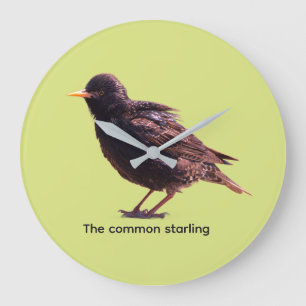 Starling große wanduhr