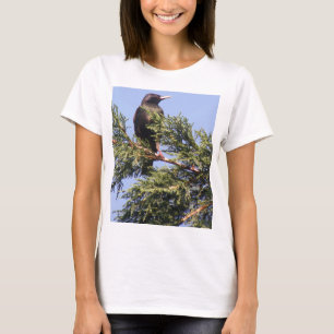 Starling in einem Spruce Tree Ladys T Shirt