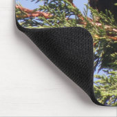 Starling in einer Spruce Tree Mousepad (Ecke)