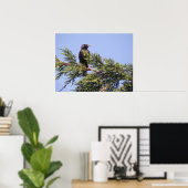 Starling in einer Spruce Tree Print Poster (Heimbüro)
