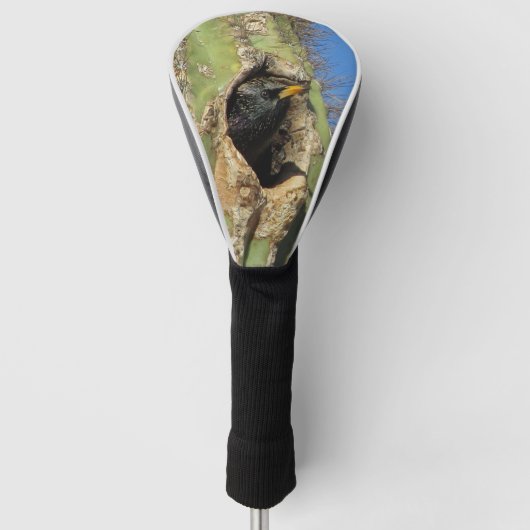 Starling in Saguaro Cactus Foto Southwest Bird Golf Headcover (Vorderseite)