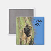 Starling in Saguaro Cactus Foto Southwest Bird Magnet (Vorderseite/Rückseite)