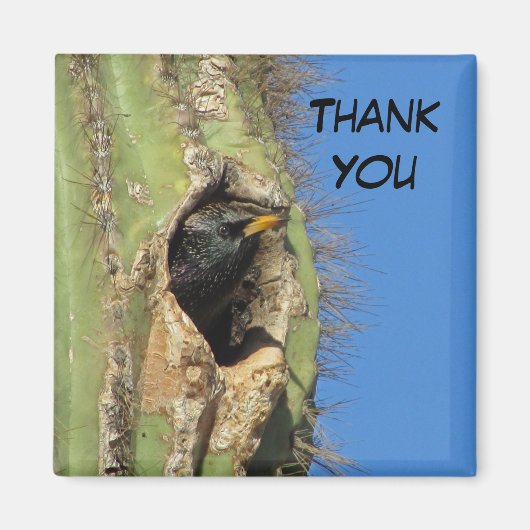 Starling in Saguaro Cactus Foto Southwest Bird Magnet (Vorne)