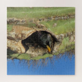 Starling in Saguaro Cactus Foto Southwest Bird Puzzle (Horizontal)