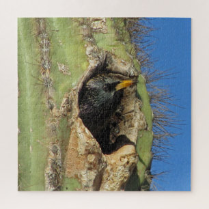 Starling in Saguaro Cactus Foto Southwest Bird Puzzle