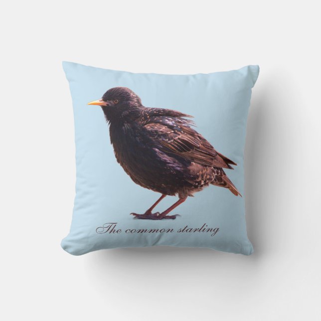 Starling  kissen (Vorderseite)