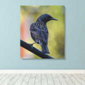 Starling Leinwanddruck (Insitu (Holzboden))