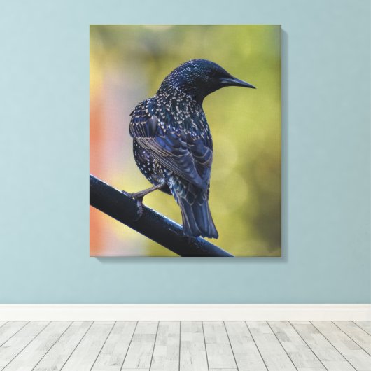 Starling Leinwanddruck (Insitu (Holzboden))