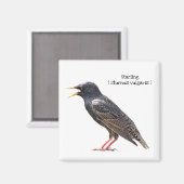 Starling Magnet (Vorderseite/Rückseite)