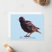 Starling mitteilungskarte (Vorderseite/Rückseite Beispiel)
