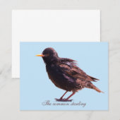 Starling mitteilungskarte (Vorne/Hinten)