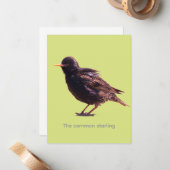 Starling mitteilungskarte (Vorderseite/Rückseite Beispiel)
