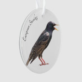 Starling Ornament (Vorderseite)