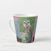 Starling, Owl und Birdswarm Collage Latte Tasse (Linke Ecke)