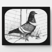 Starling Pigeon 1973 Fotoplatte (Vorderseite)