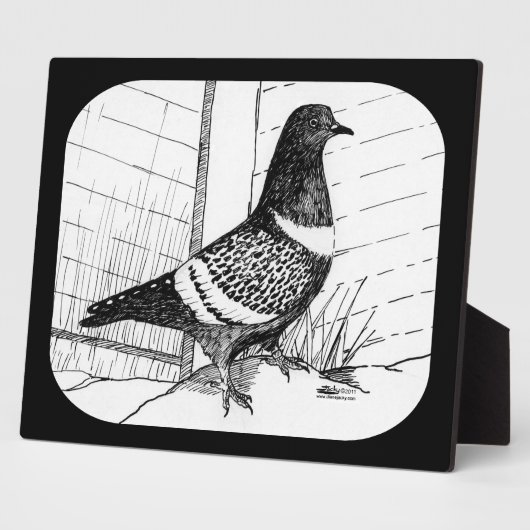 Starling Pigeon 1973 Fotoplatte (Seite)