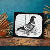 Starling Pigeon 1973 Fotoplatte (Seite)