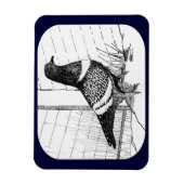 Starling Pigeon 1973 Magnet (Vertikal)