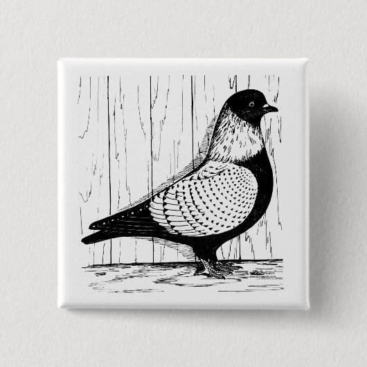 Starling Pigeon Silver-laced 1979 Button (Vorderseite)